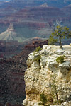 Grand Canyon from South Rim