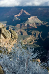 Grand Canyon from South Rim