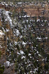 Grand Canyon Detail