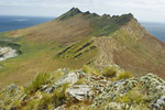 Steeple Jason Landscape