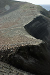 Baily Head Landscape