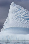 Iceberg