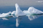 Iceberg