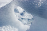 Iceberg