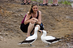 Nazca Boobies and Audrey