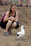 Nazca Boobies and Audrey