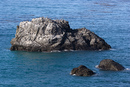 Big Sur Landscape