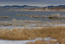 Mono Lake Landscape