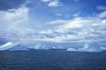 Icebergs near Drygalski Fjord