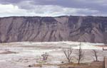 Mammoth Hot Springs