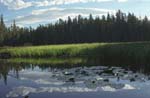 Yellowstone Backcountry