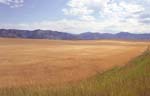 Idaho Landscape