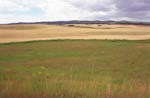 Idaho Landscape