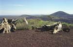 Craters of the Moon Landscape