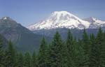 Mount Ranier Landscape