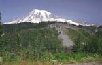 Mount Ranier Landscape