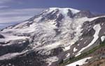 Mount Ranier Landscape