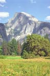 Half Dome