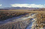 Death Valley Landscape