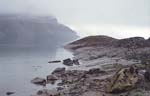 Glacier Bay Landscape