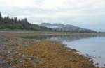 Glacier Bay Landscape