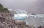 Glacier Bay Landscape
