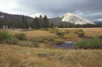 Tuolumne Meadows