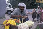 Flower Merchant