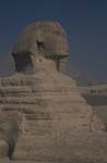 The Sphinx