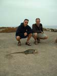 Aaron, Ryan, and the Farting Iguana